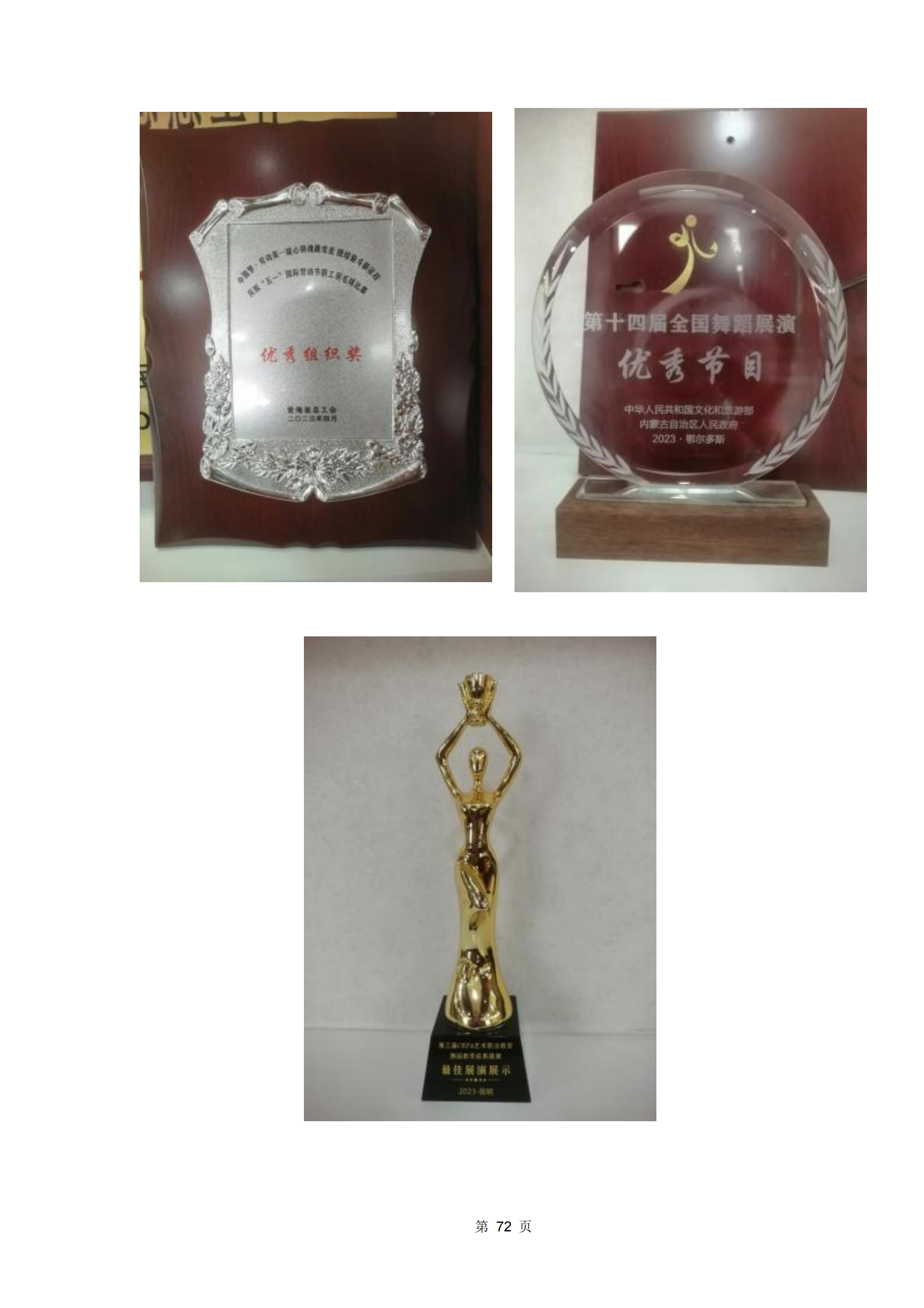 青海省文化藝術職業(yè)學校教育質量年報_79.png